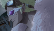 Young Doflamingo