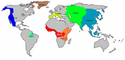 HumanEvolution 2,160,000