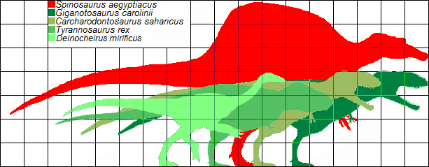 largest theropod