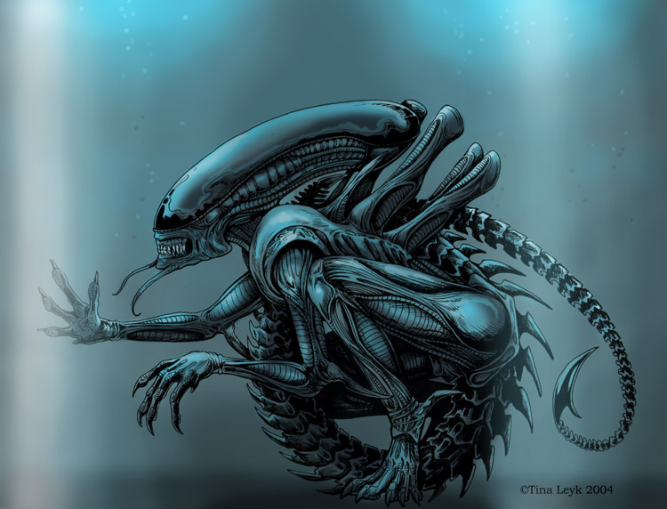 Xenomorph.jpg