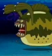 SeaBear