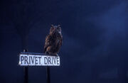 PrivetDrivesign