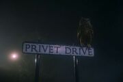 PrivetDrivesign2