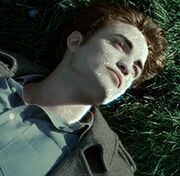 Lossy-page1-220px-Edward Cullen Skin tif