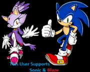 Sonic and Blaze