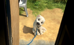 Bolt dog face