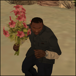 Flores