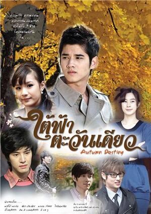 Autumn Destiny
