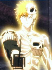 Skull-Clad Ichigo