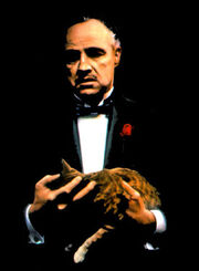 Mafia