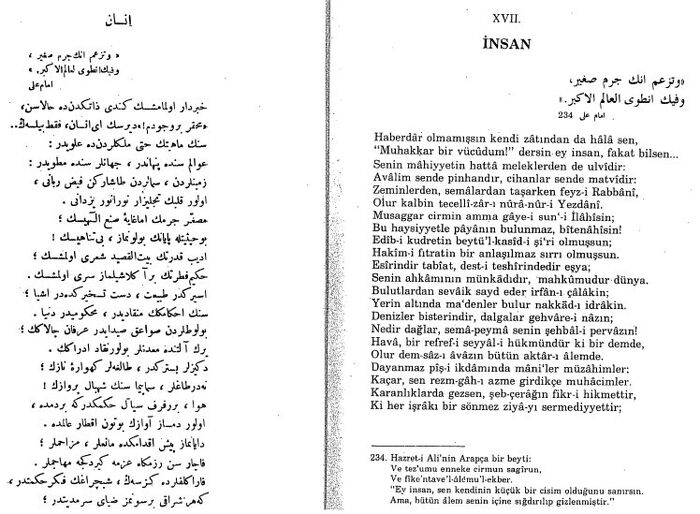 İnsan 1
