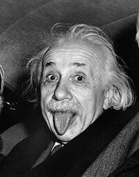 Albert-einstein-1951.jpg