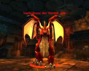 051120 Vaelastrasz02