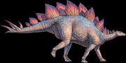 Stegosaurus