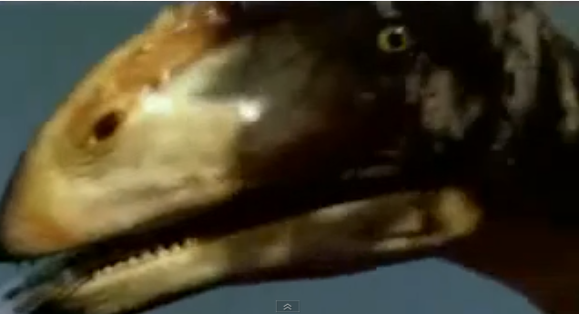 pterosaur head