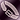 Belt purple DA2