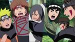 Saga doce guardianes ninjas
