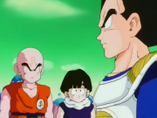 180px-VegetaKrillinGohanEp63