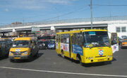 GAZelle-and-Isuzu-Bogdan