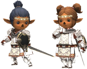 Image Tarutaru PLD FFXI Png The Final Fantasy Wiki 10 Years Of Tarutaru PLD (FFXI) 