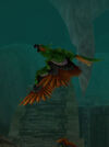 SunwingSquawker
