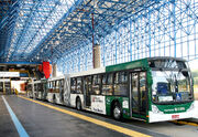 Mondego expressotiradentes