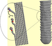 Carbon nanofiber