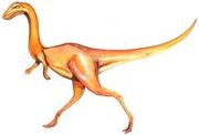 Procompsognathus1140452389