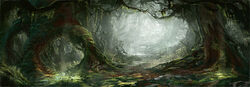 Mirkwood 01