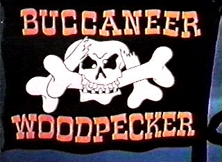 buccaneer woodpecker