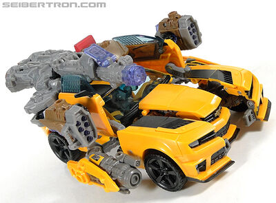 R leader-bumblebee-052