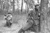 Soviet guerilla