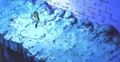 Ullr2-1-