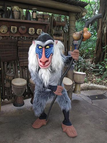 Rafiki Rafiki