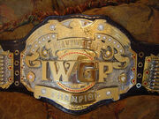 IWGP Heavyweight Championship