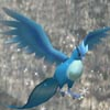 File:Articuno SSBM.png