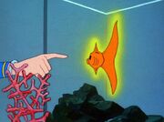 Halo-Fisch