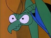 Zorak