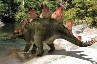 Stegosaurus armatus