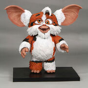 Daffy mogwai