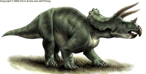 rhinoceros 5e