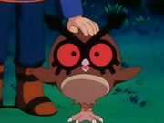 Hagatha's Hoothoot