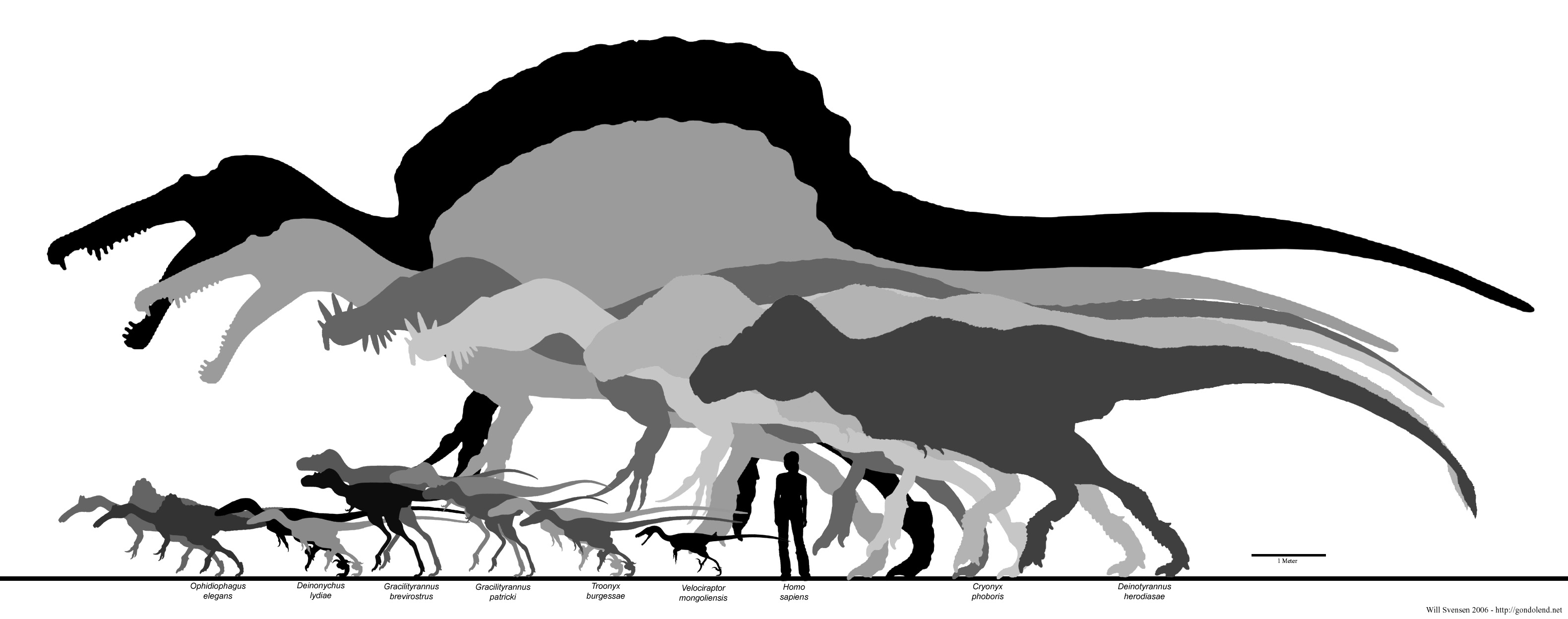 spinosaurus t rex size