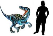 Raptoralpha