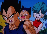 VegetaBabyTrunksBulma01