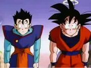 Gohan and Dad