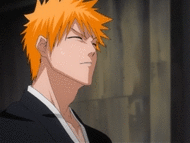 http://img4.wikia.nocookie.net/__cb20110914112317/bleach/en/images/f/f4/TanmaOtoshi.gif
