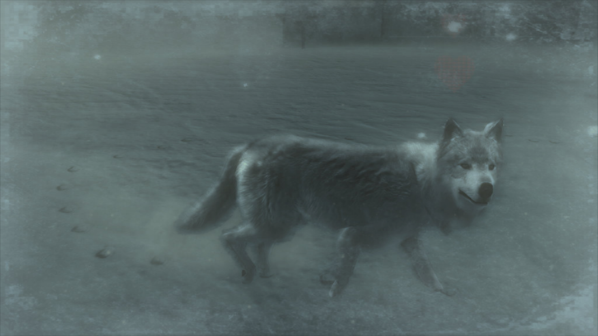 Another_Wolf_in_the_Snowfield_(Metal_Gear_Solid_4).png