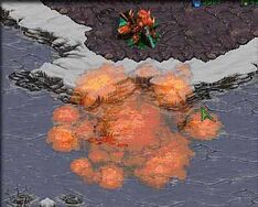 Dark Swarm