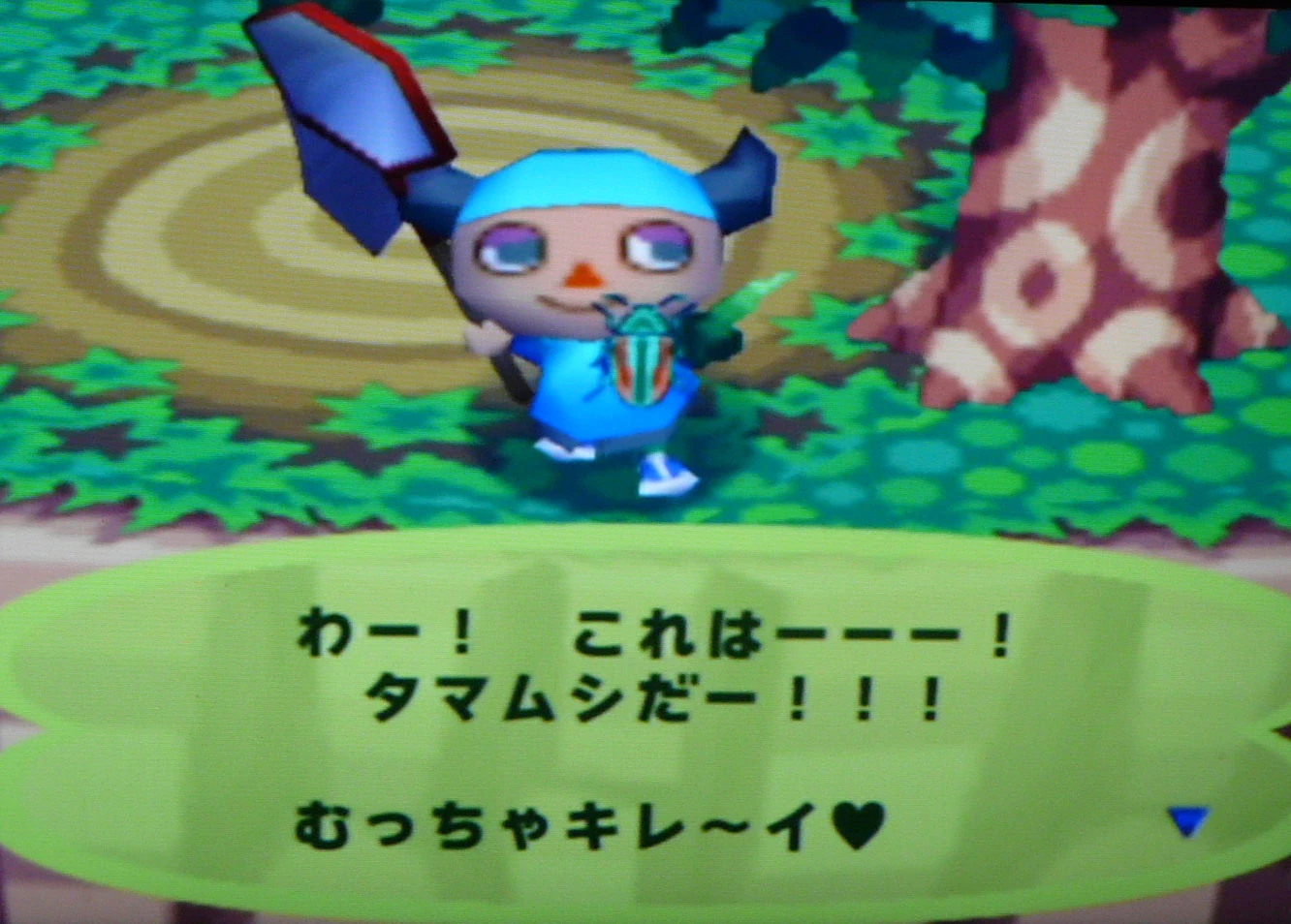 Jewel beetle Animal Crossing Wiki